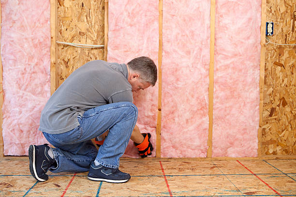 Best Best Insulation Companies  in Big Beaver, PA